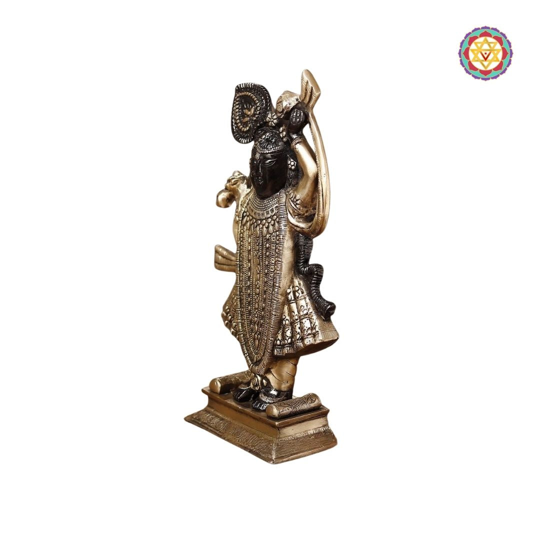 side-angle view of Shrinathji idol highlighting carved attire