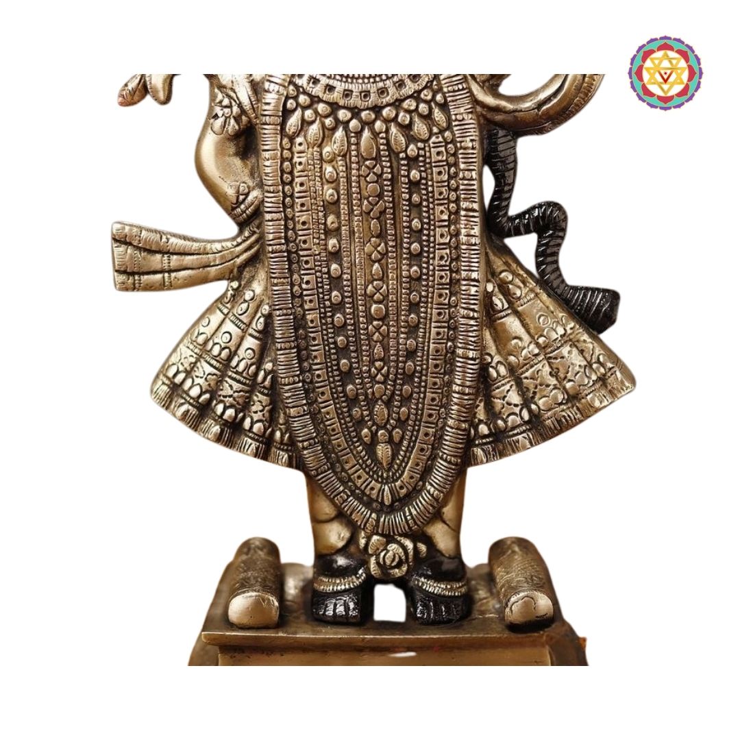 profile shot of Shrinathji statue showing raised hand posture