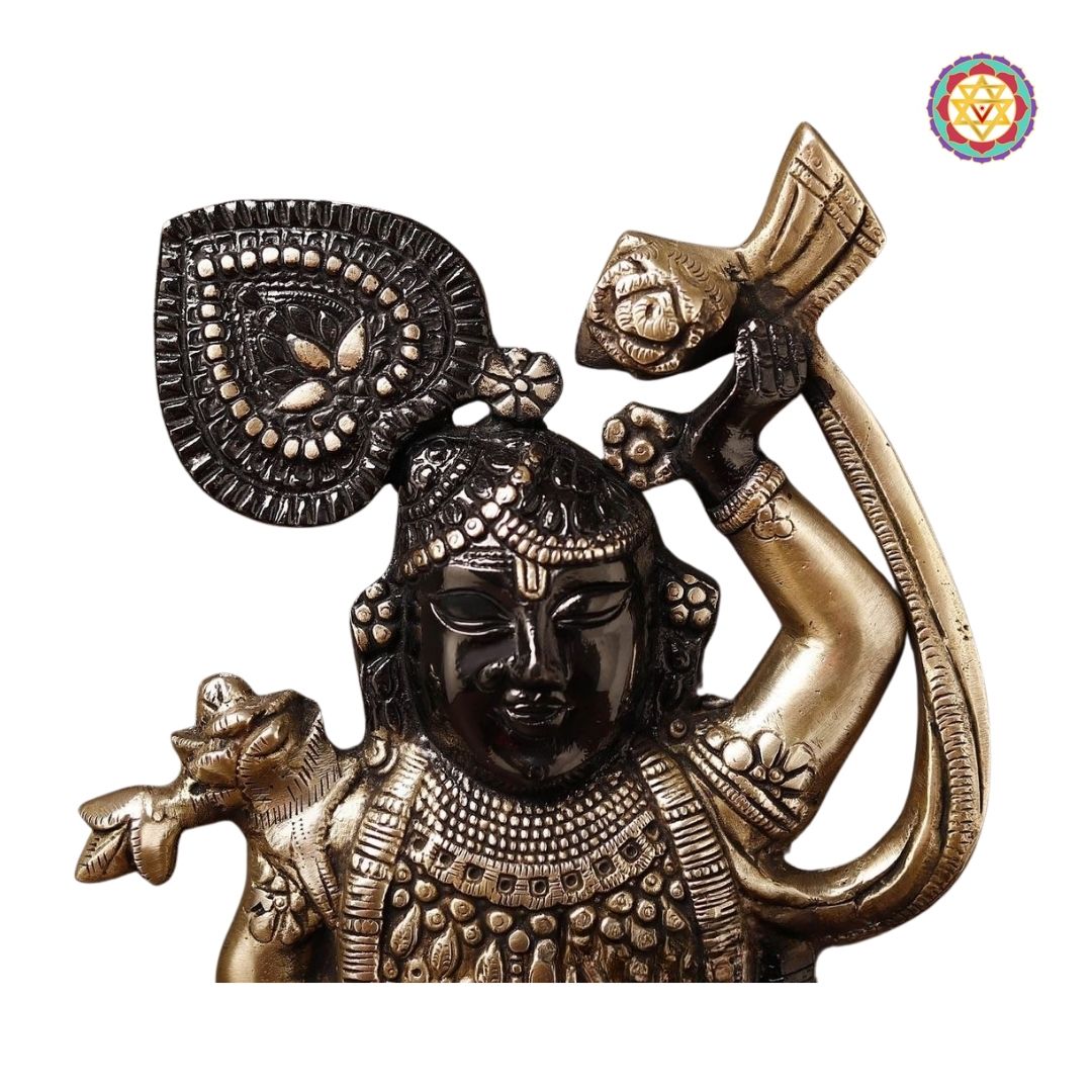 Brass Shrinath Ji Statue – Traditional Golden &amp; Black Patina Finish (17”)