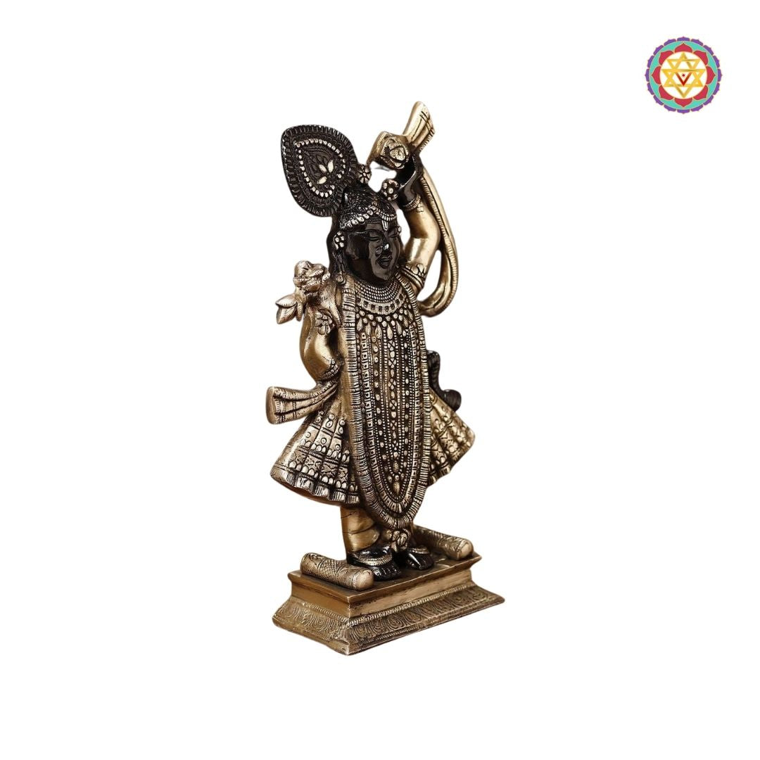 Brass Shrinath Ji Statue – Traditional Golden &amp; Black Patina Finish (17”)
