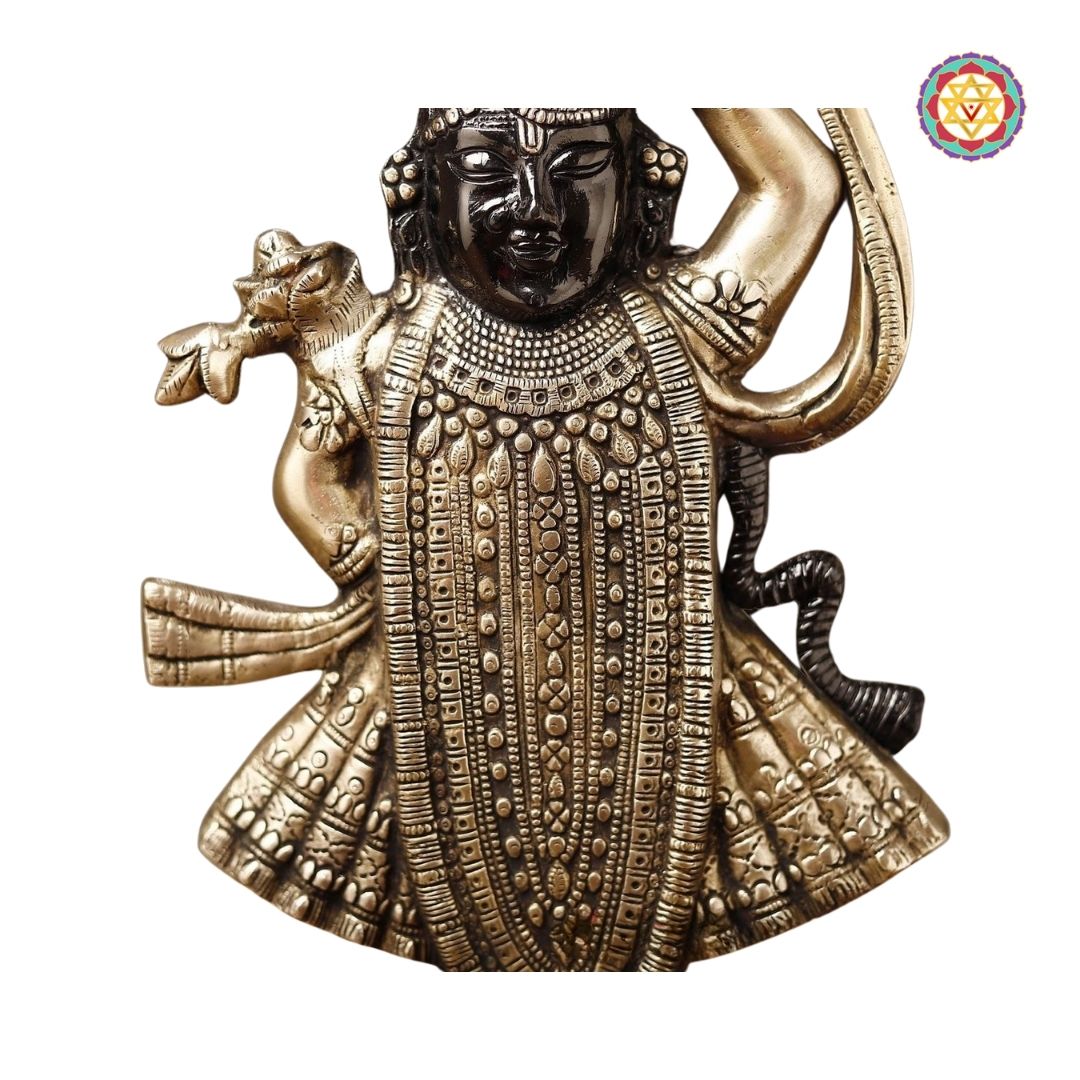 Brass Shrinath Ji Statue – Traditional Golden &amp; Black Patina Finish (17”)