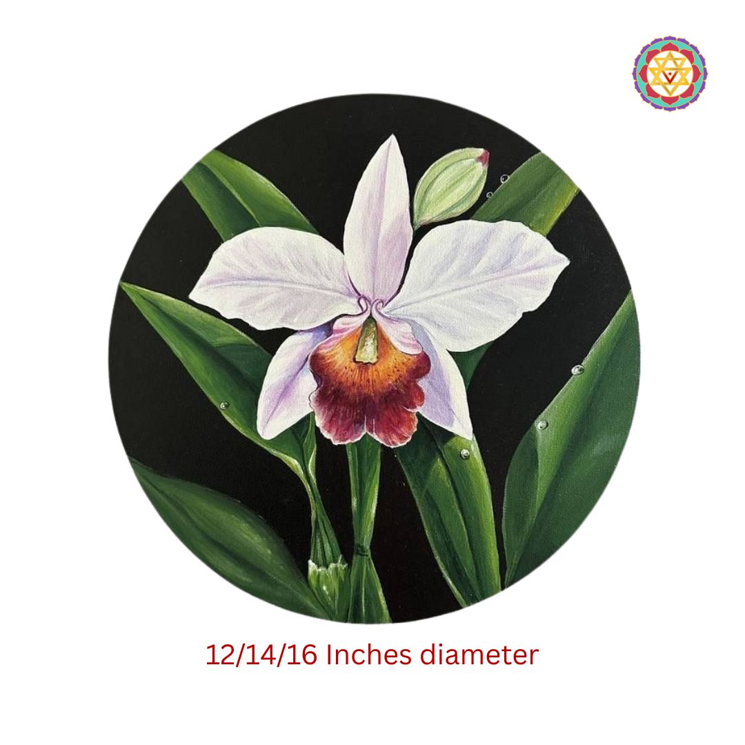 hand painted wall plate blooming white orchid close up orchid petals and gold accent detailing