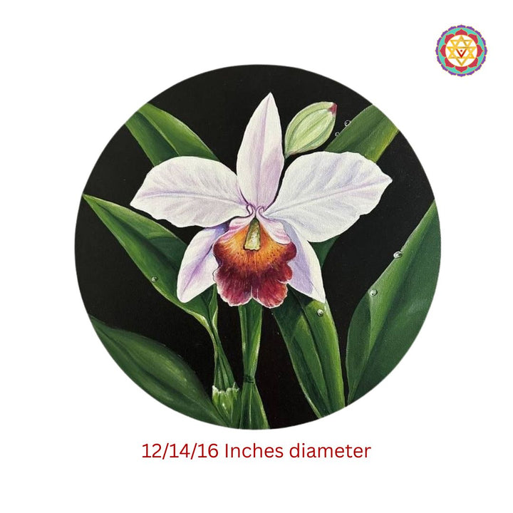 Hand painted wall plate -blooming white orchid