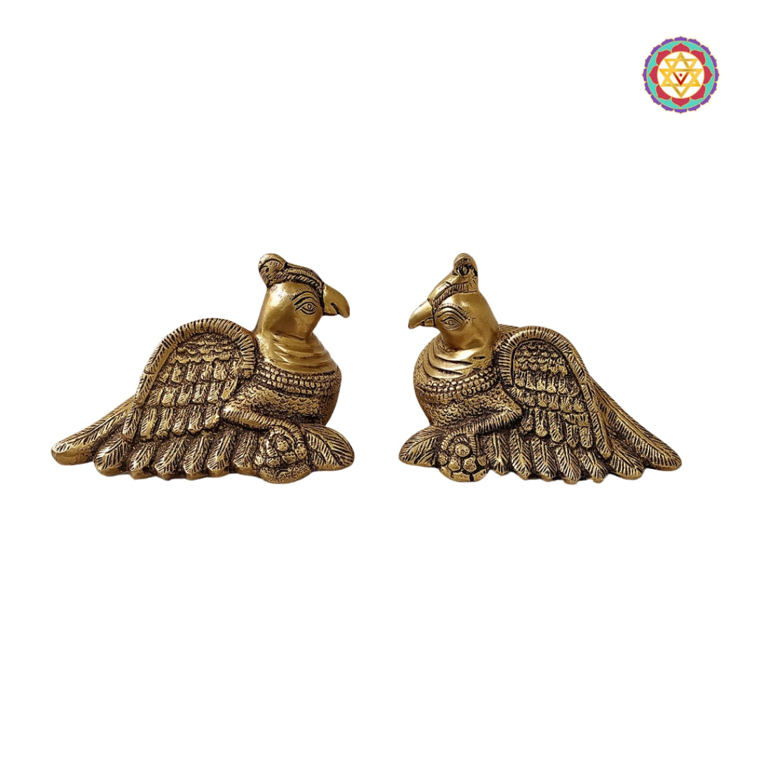 Handcrafted brass parrot wall hanging in antique finish
